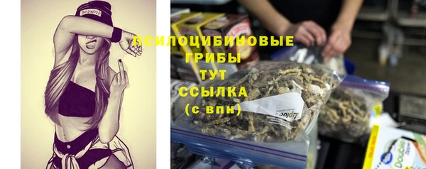 бошки Нефтекумск
