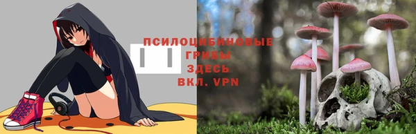 бошки Нефтекумск