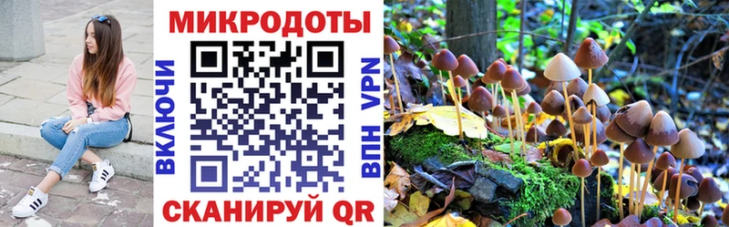 Галлюциногенные грибы Psilocybine cubensis  omg tor  Ардон 